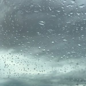 Meet your Posher, Trissy